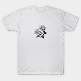 Hydrangea Flower Monochrome T-Shirt